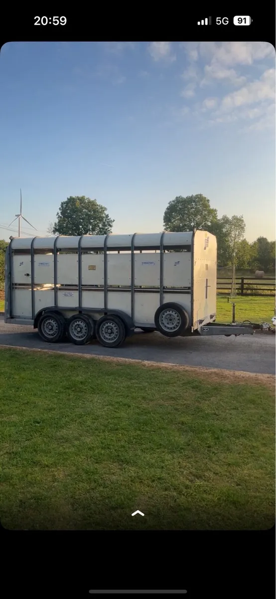 Iforwilliams cattle trailer - Image 2