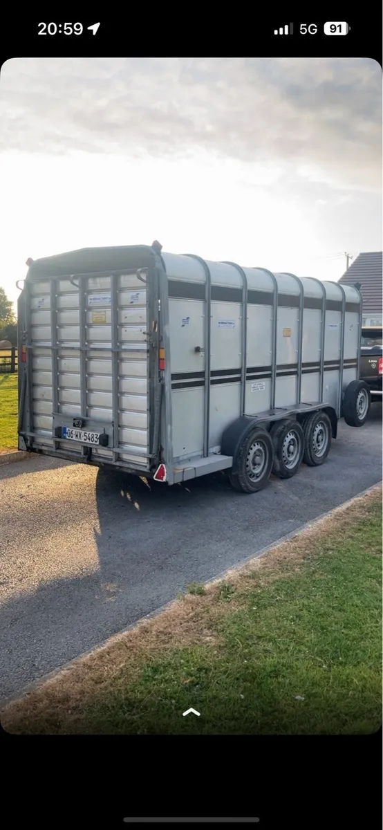 Iforwilliams cattle trailer - Image 3