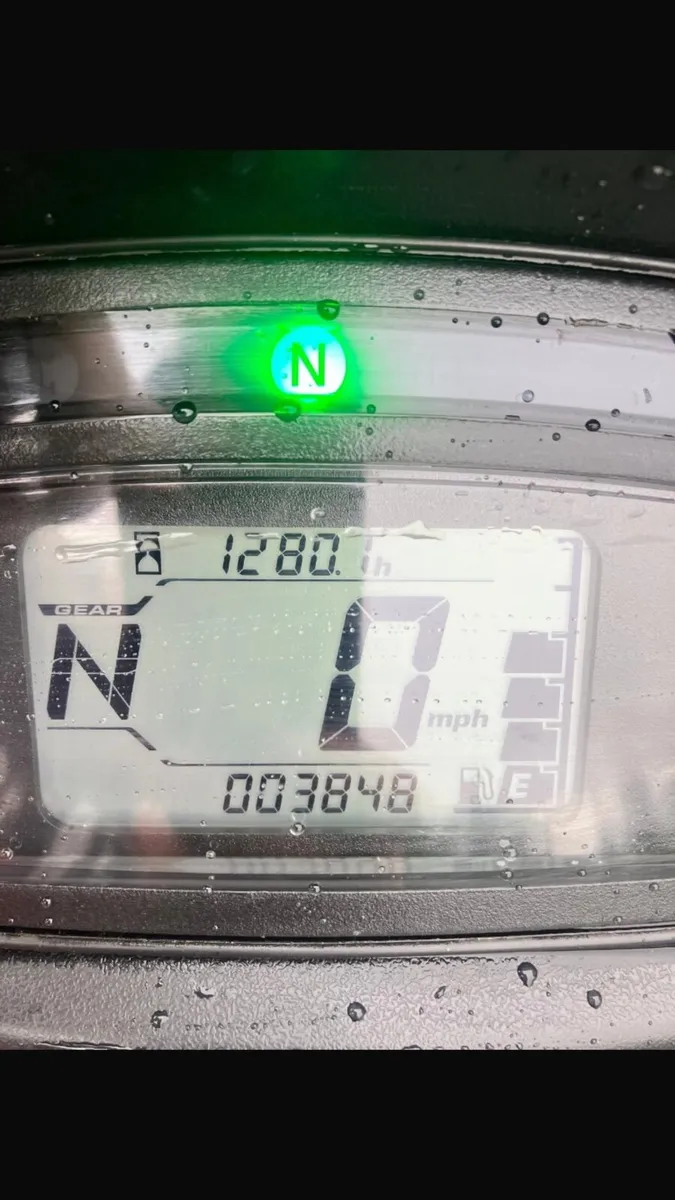 Suzuki 500 Kingquad - Image 3