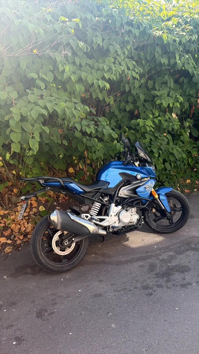 BMW G310R - Image 3
