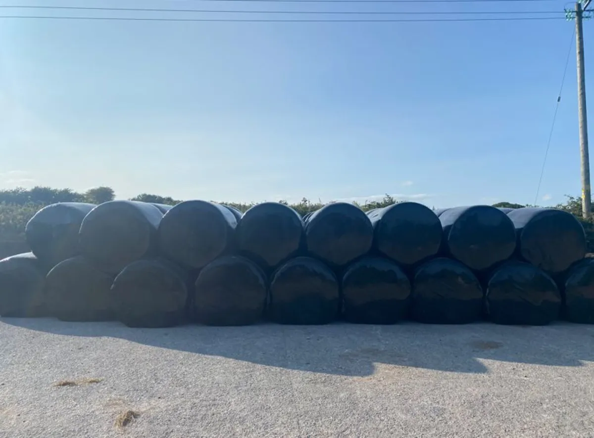 Silage Bales