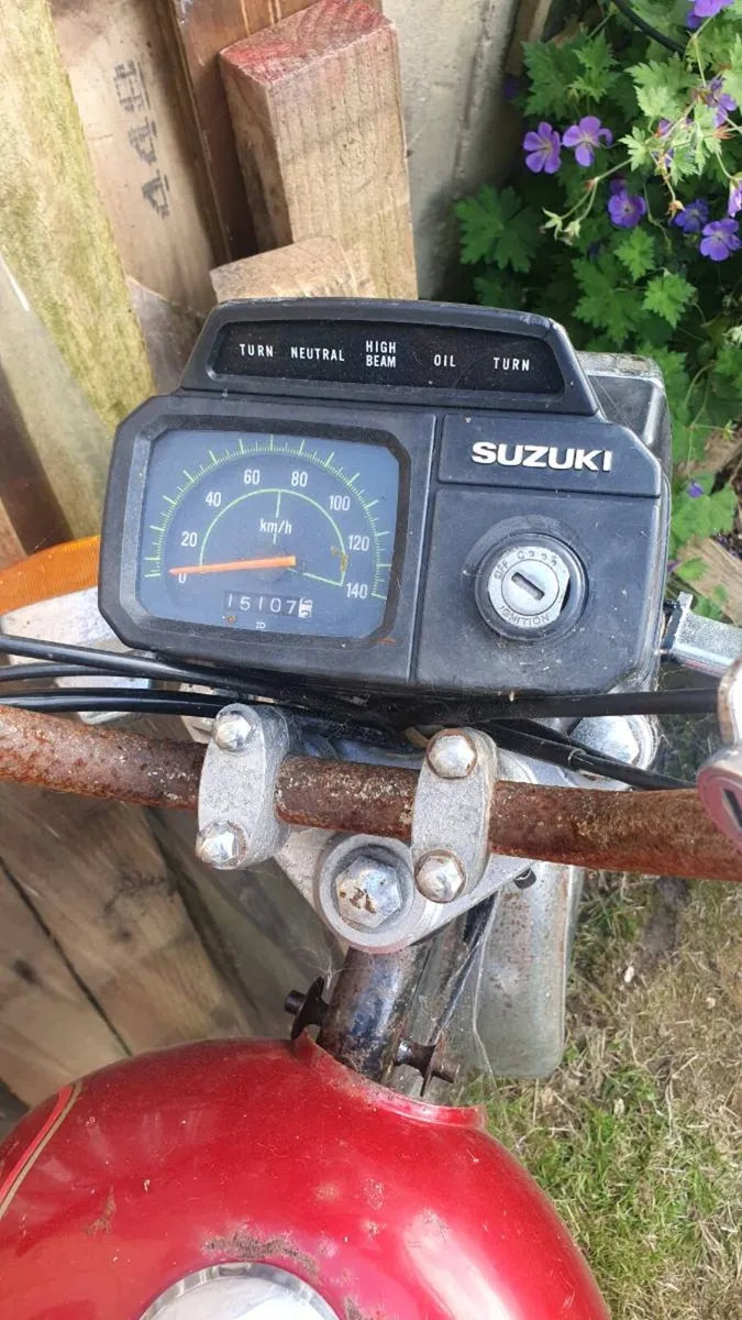 Suzuki Ax 100 - Image 2