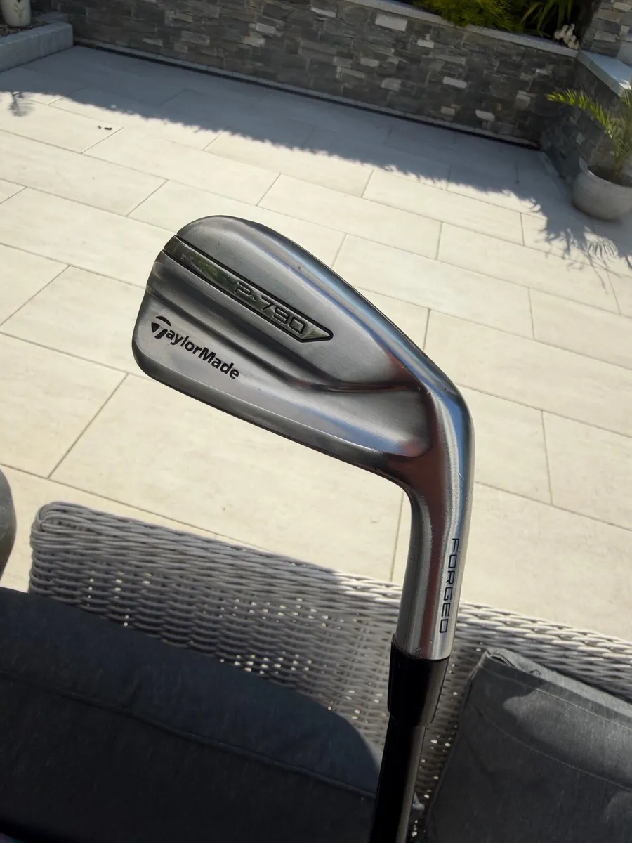 TaylorMade P790 UDI 2 iron - Image 1