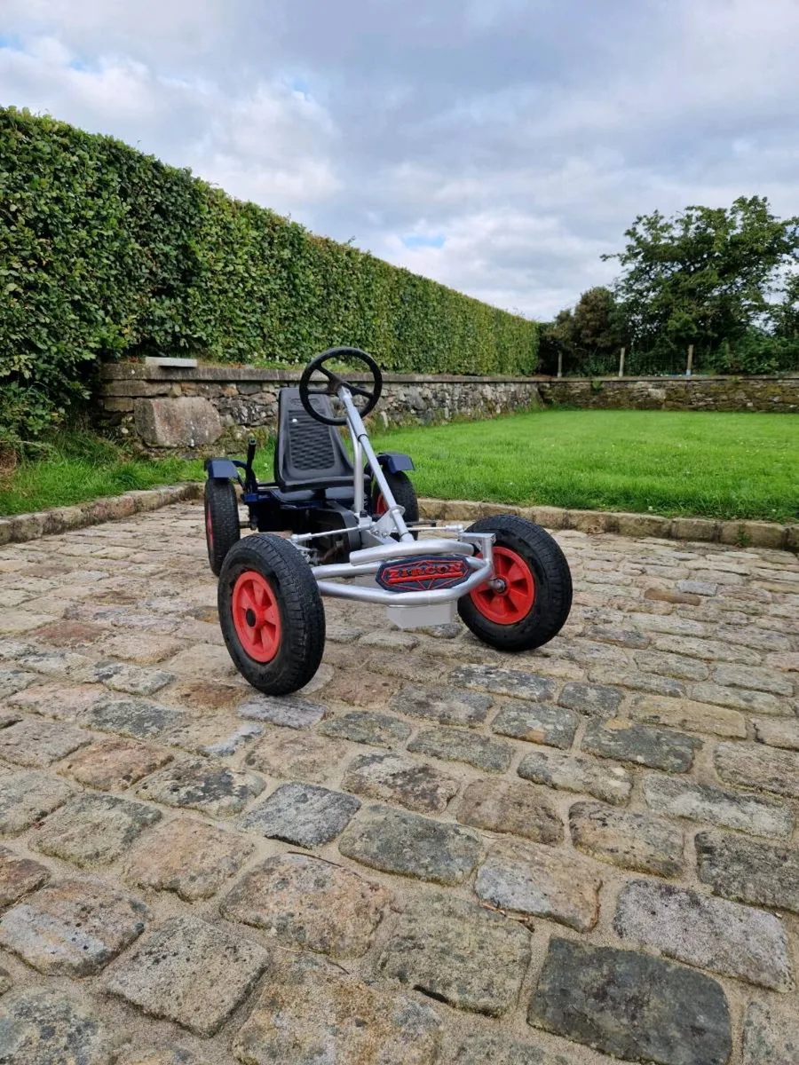 Zircon go kart - Image 1