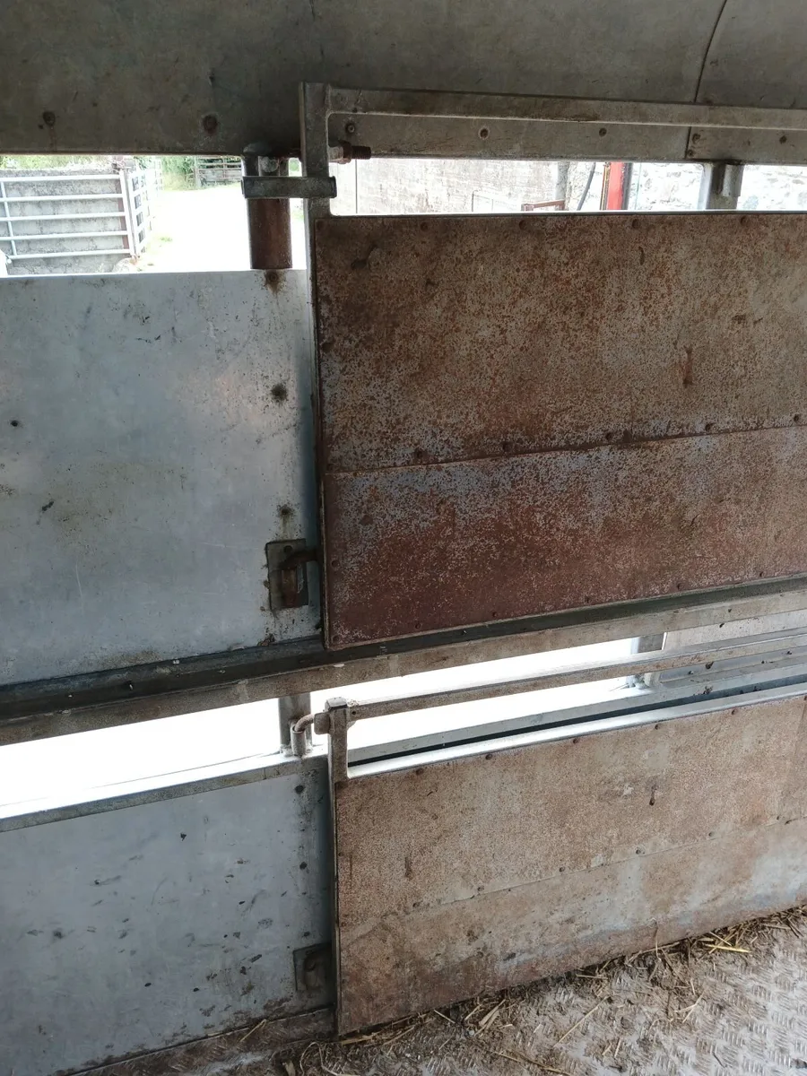 Cattle trailer for sale - Image 3