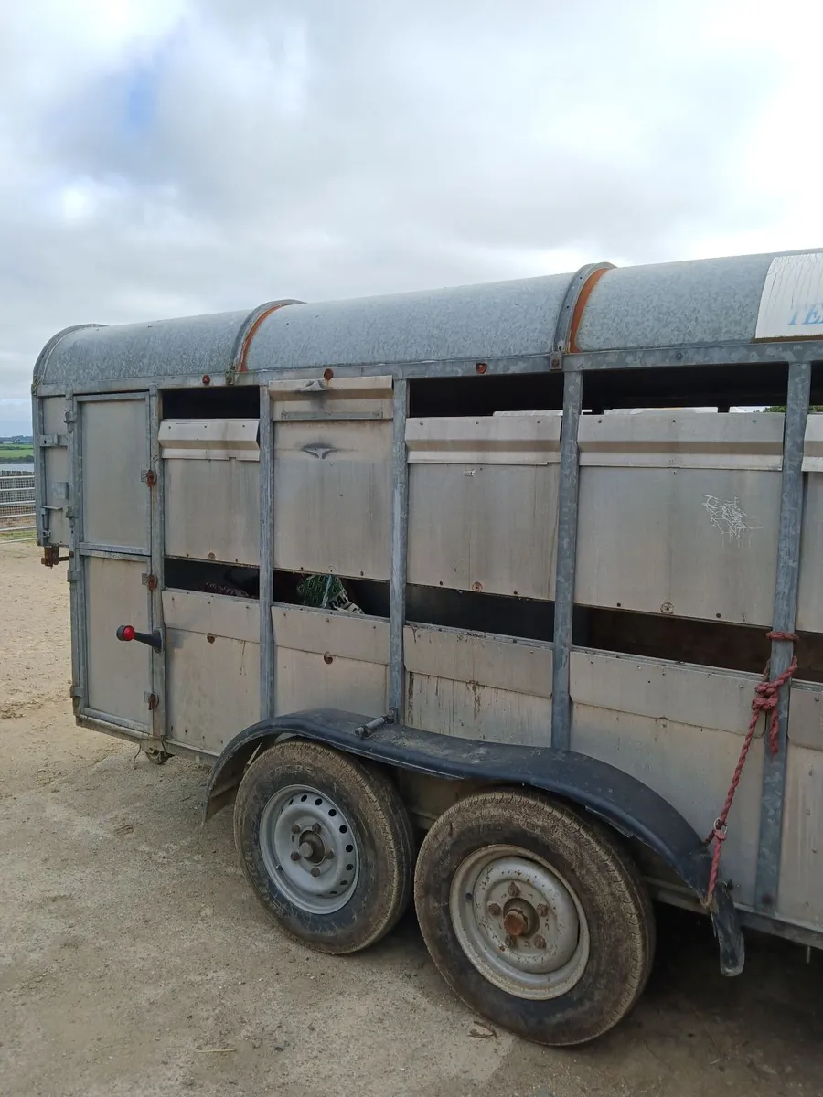 Cattle trailer for sale - Image 1