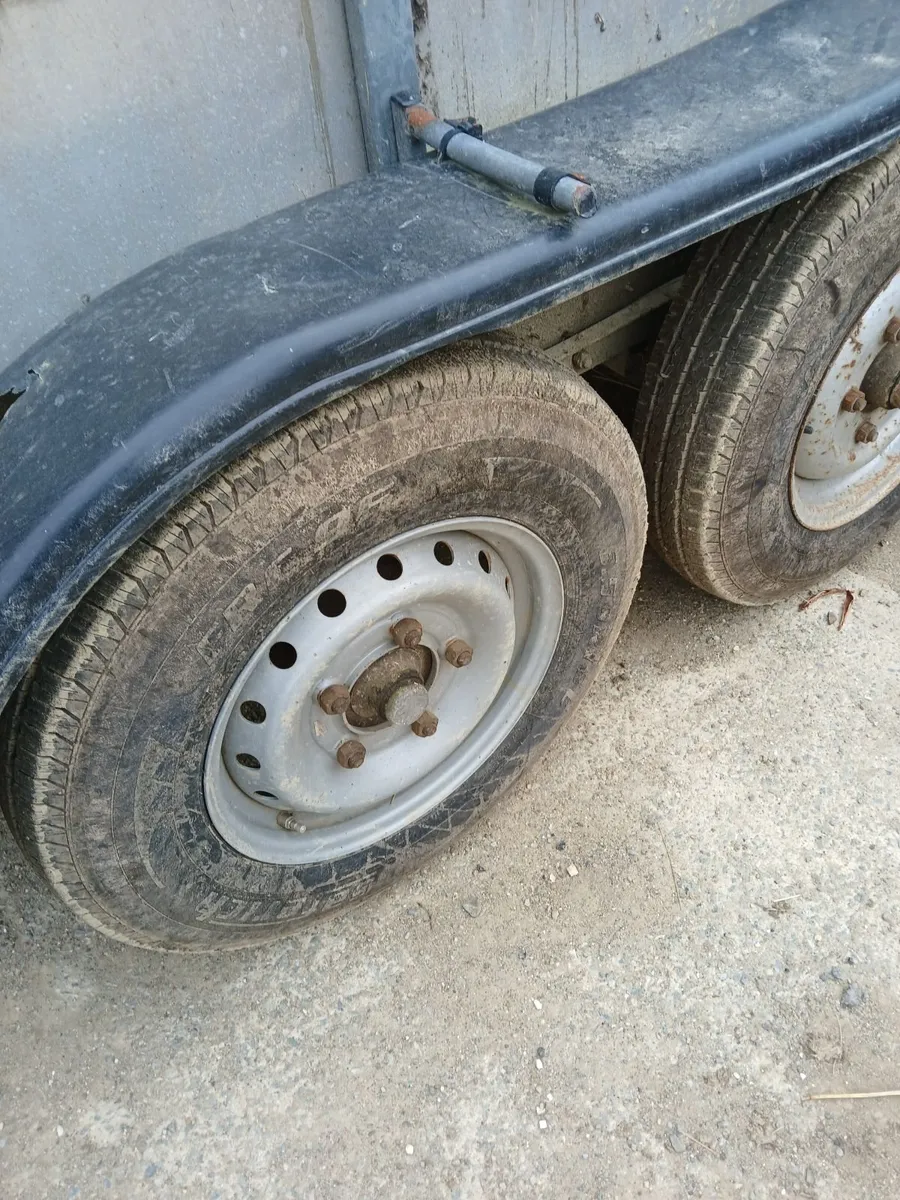Cattle trailer for sale - Image 2