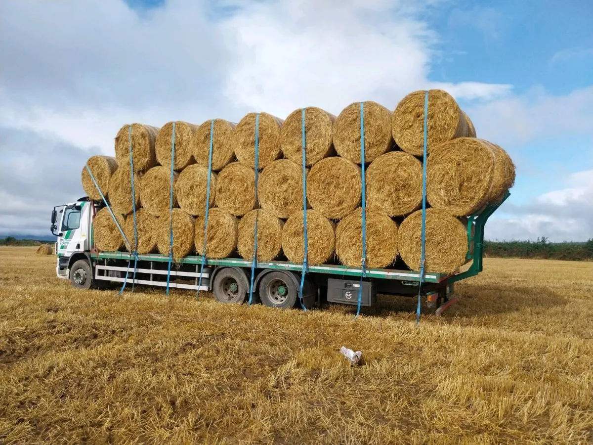 Rye straw excellent condition + delivery