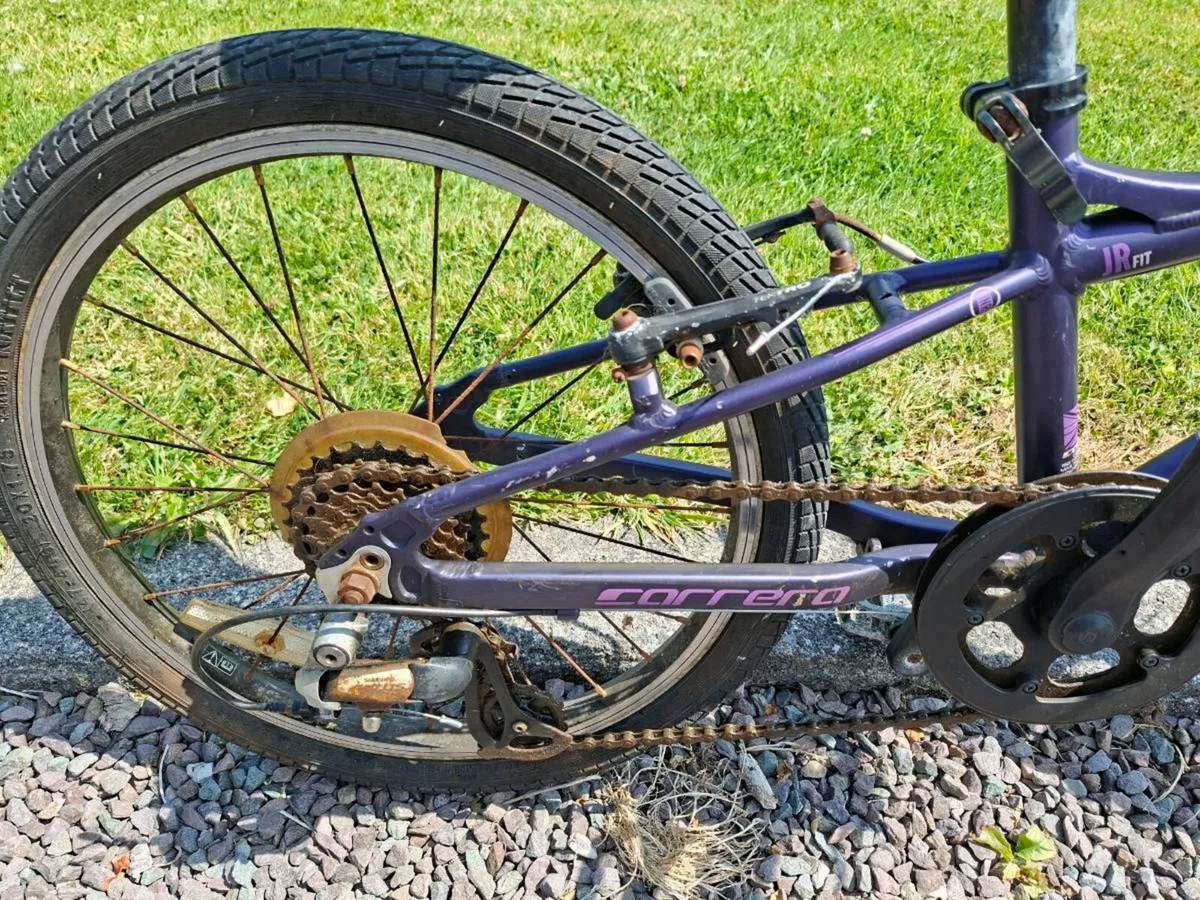 Carrera Saruna junior bike - Image 2