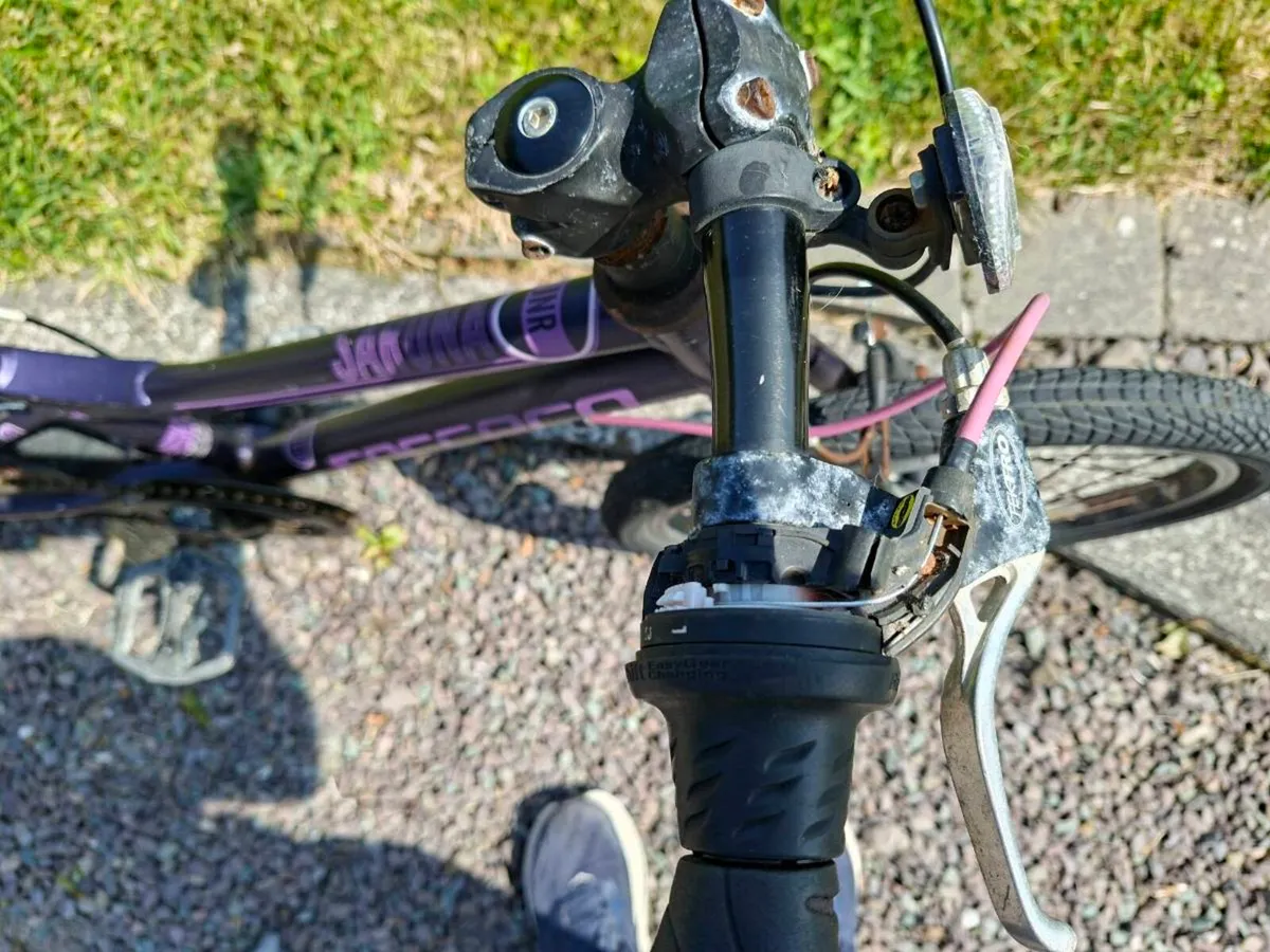 Carrera Saruna junior bike - Image 4