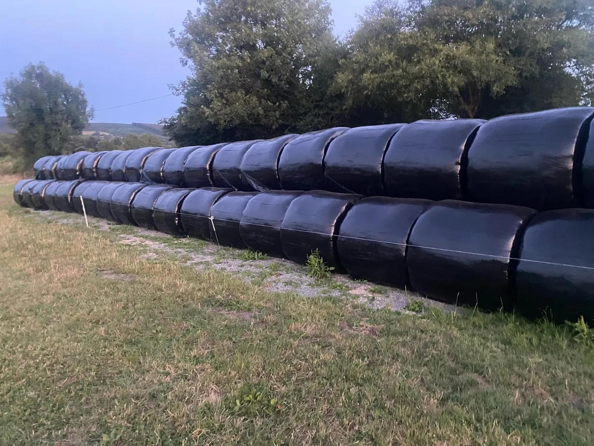 Silage bales - Image 2