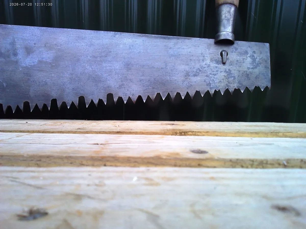 Saw - Image 3