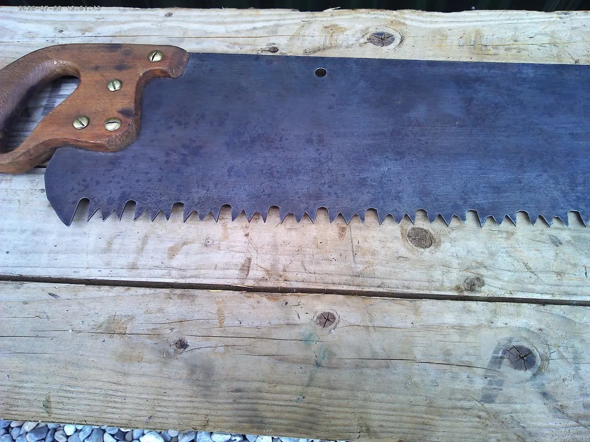 Saw - Image 4