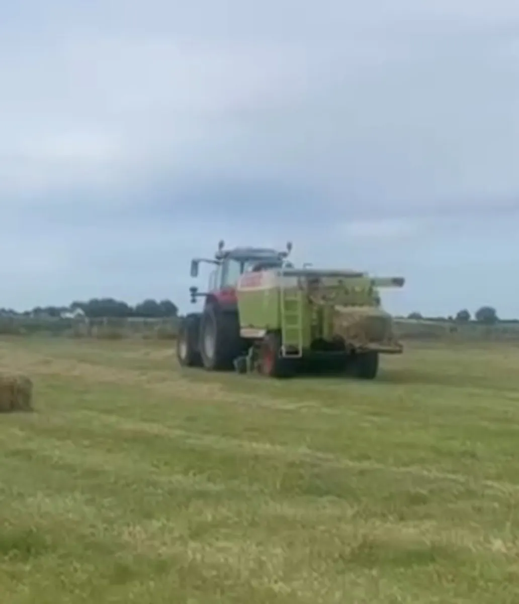 Claas quadrant 1150 - Image 3