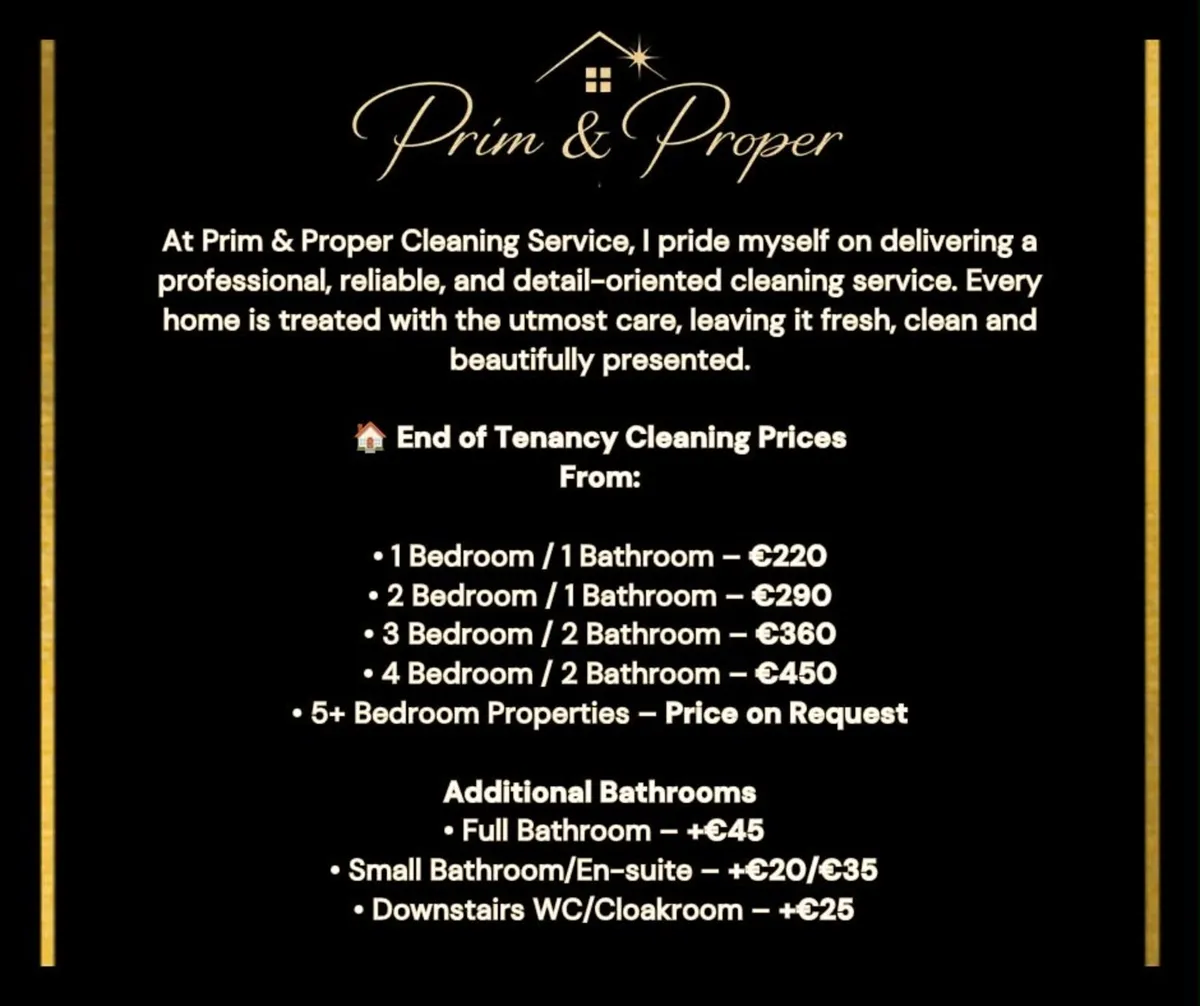 Premium Cleaning Service - Image 4