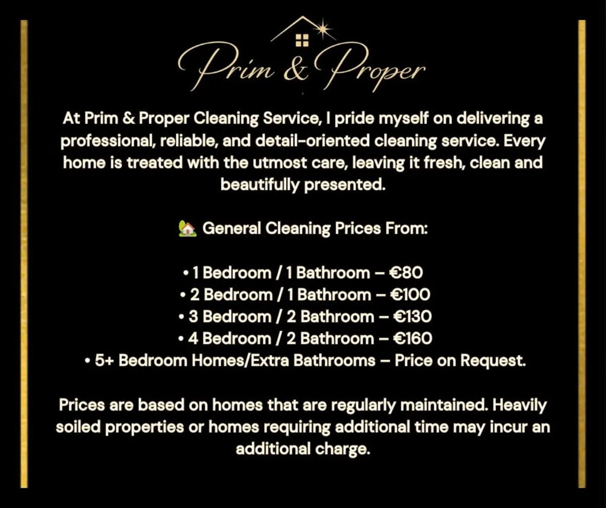 Premium Cleaning Service - Image 2