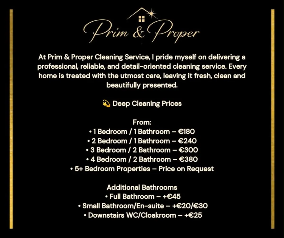 Premium Cleaning Service - Image 3