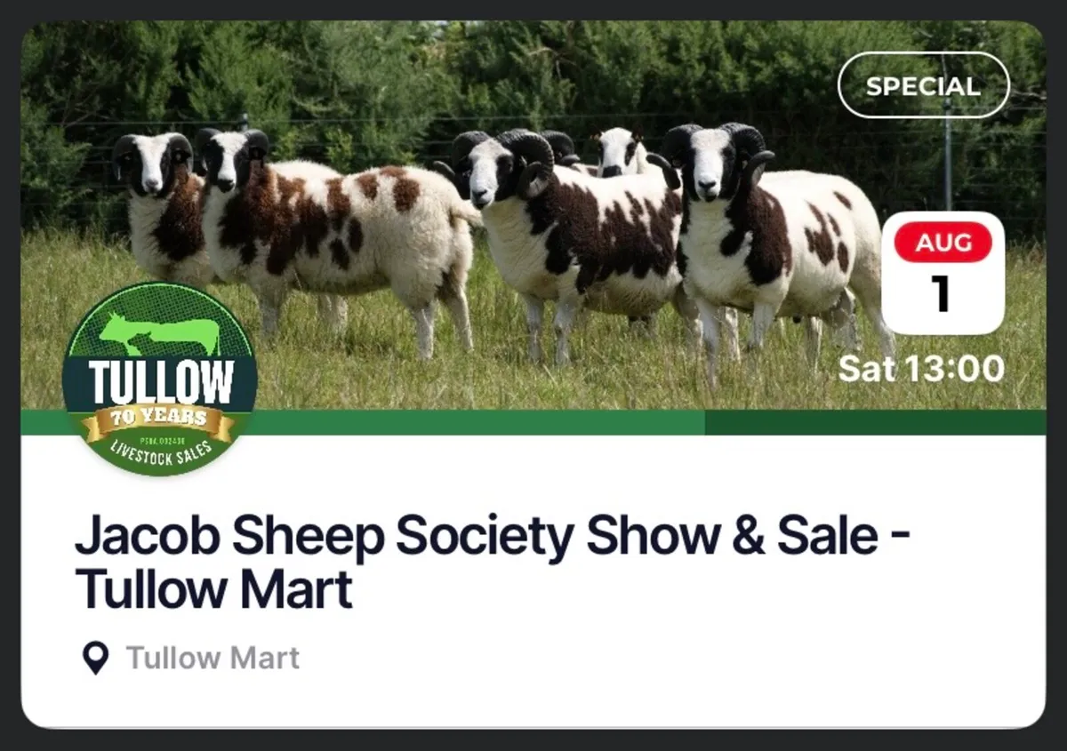 Jacob Sheep Society Sales 2026 - Image 1