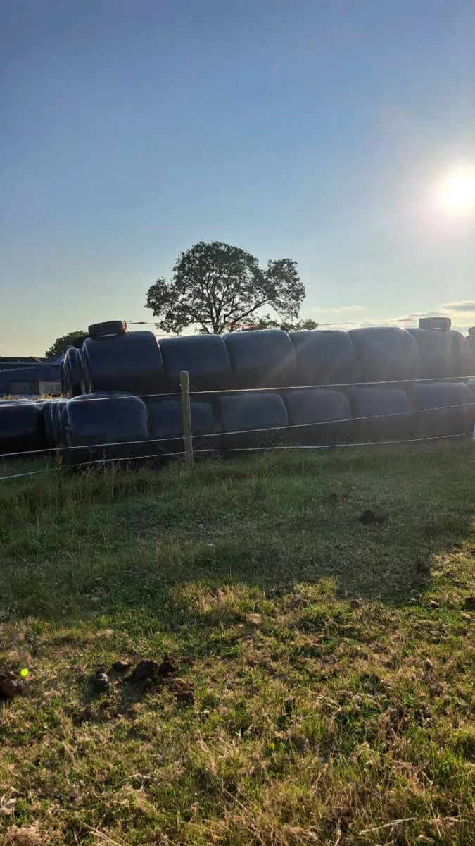 Haylage