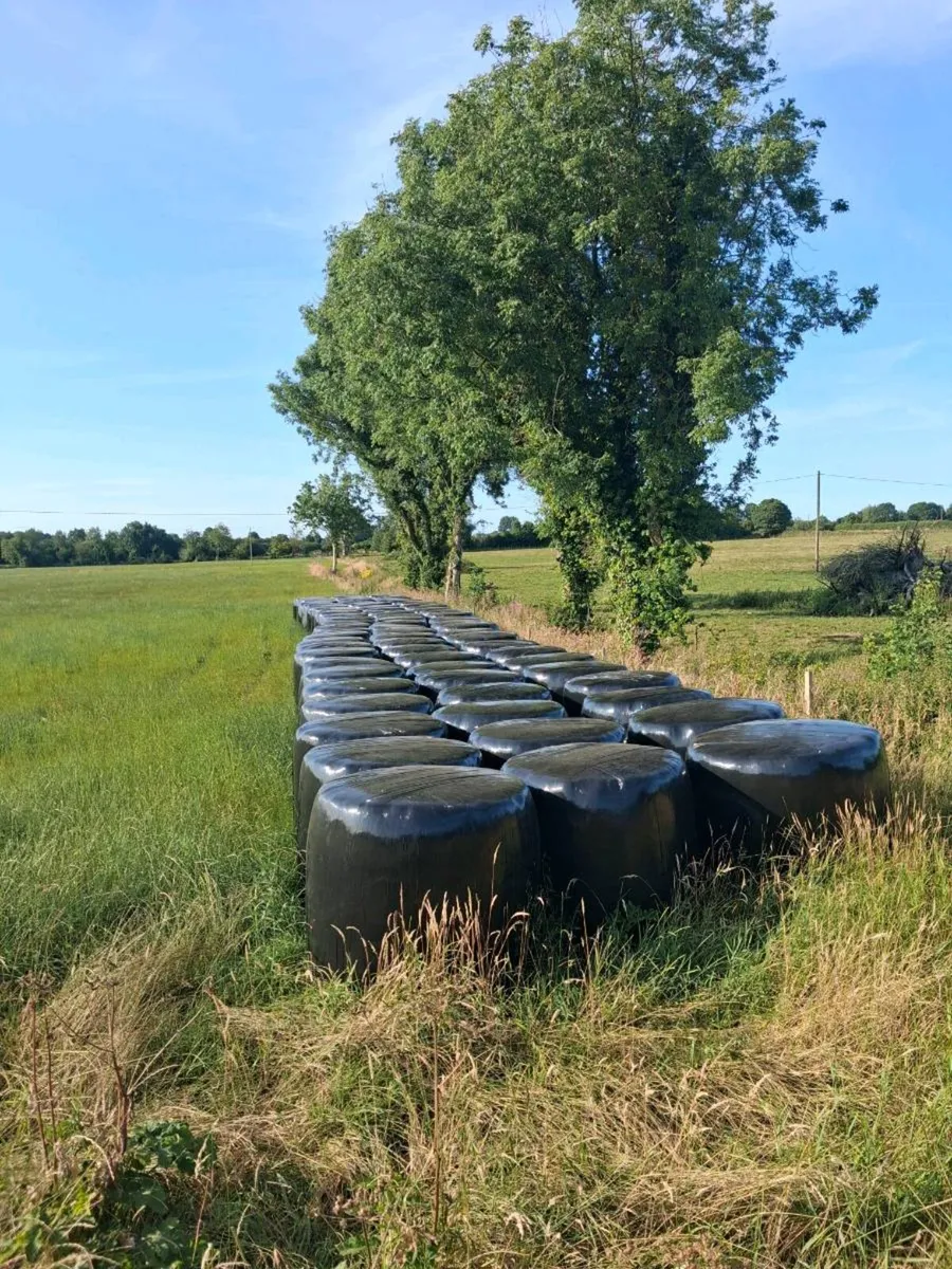 Silage