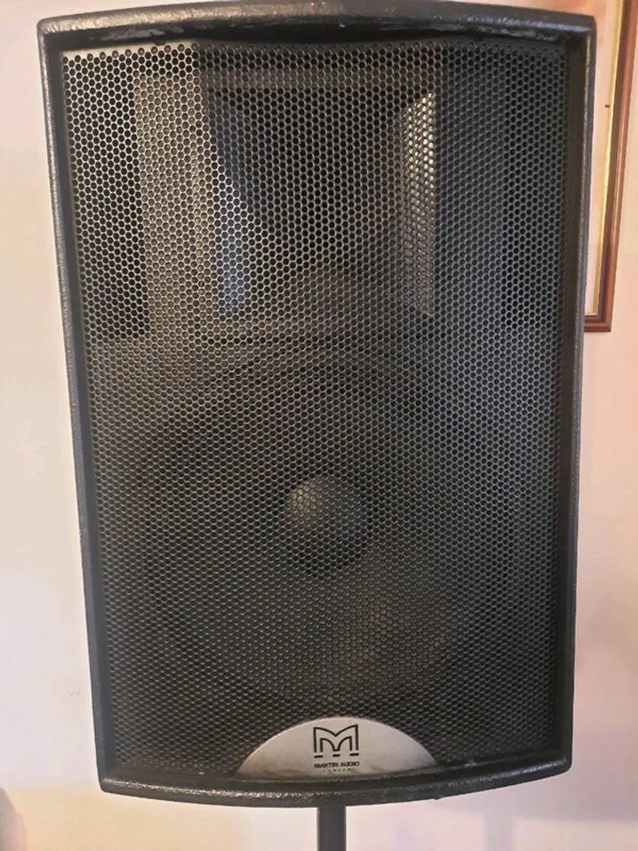 Martin Audio Black Line F15+Power Amplifier Crown - Image 4