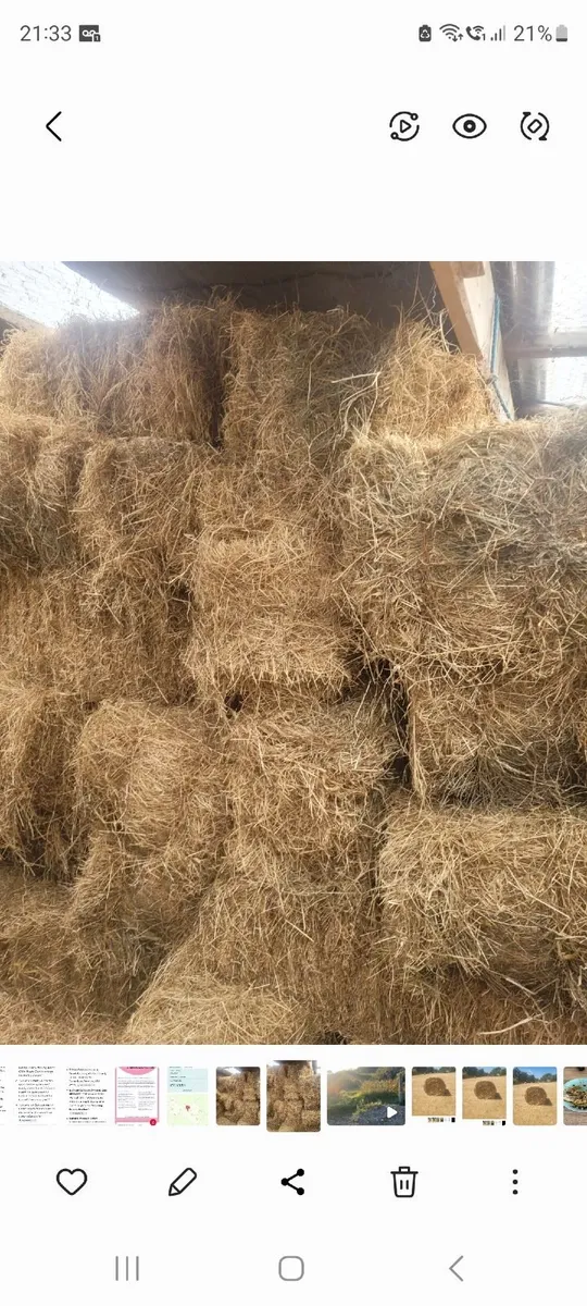 Hay bales