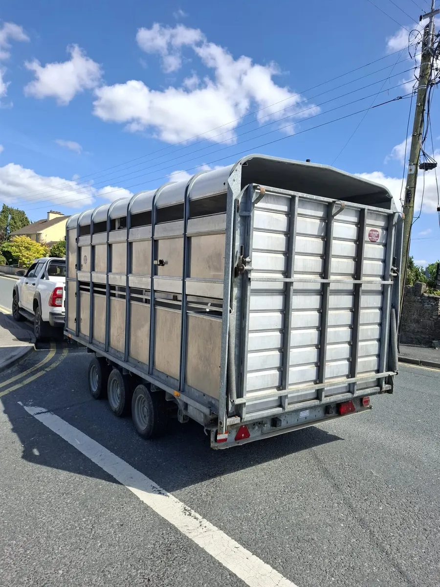 Ifor Williams 14'x6'6" Top - Image 2