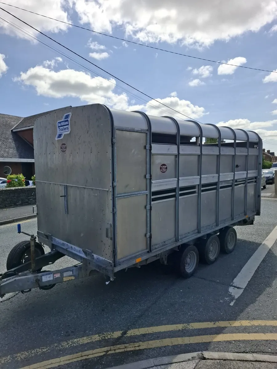 Ifor Williams 14'x6'6" Top - Image 3