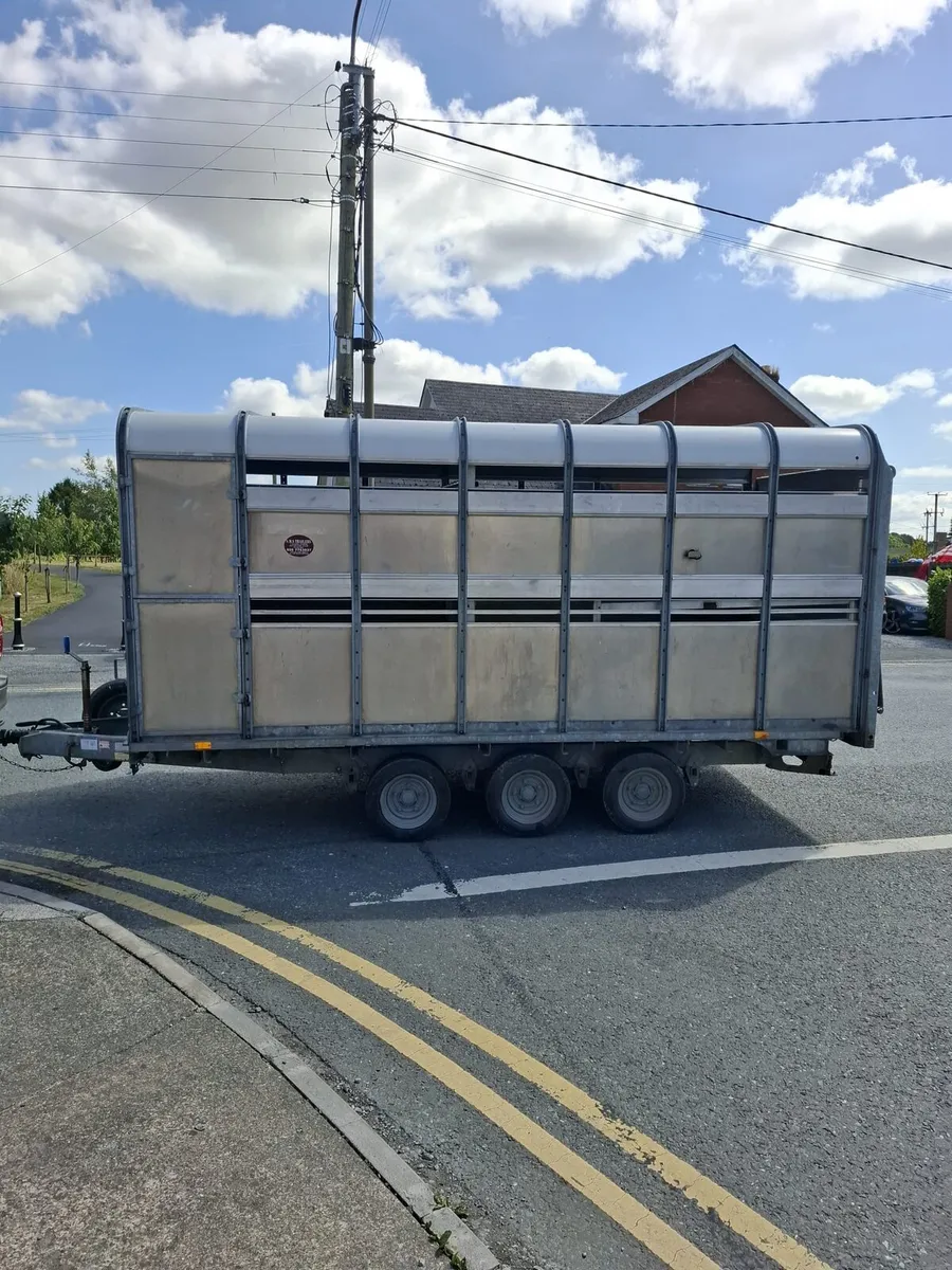 Ifor Williams 14'x6'6" Top - Image 4