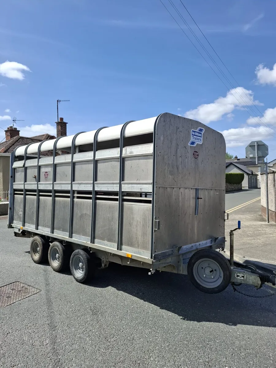 Ifor Williams 14'x6'6" Top - Image 1