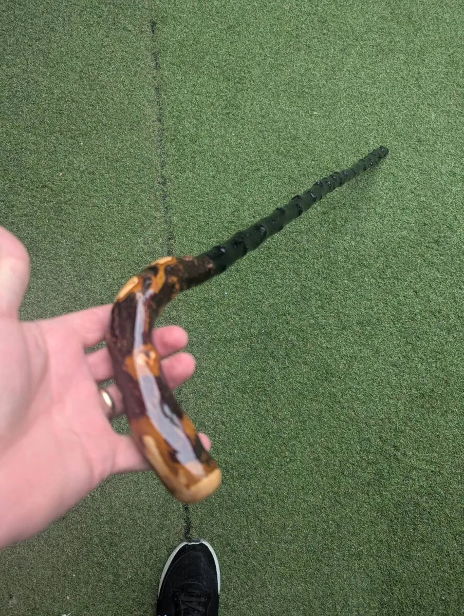 Irish Blackthorn stick - Image 2
