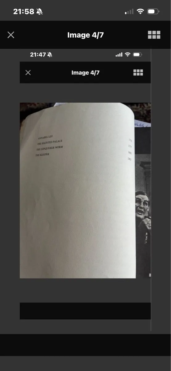 The Illustrated Tales of Edgar Allen Poe - Image 4