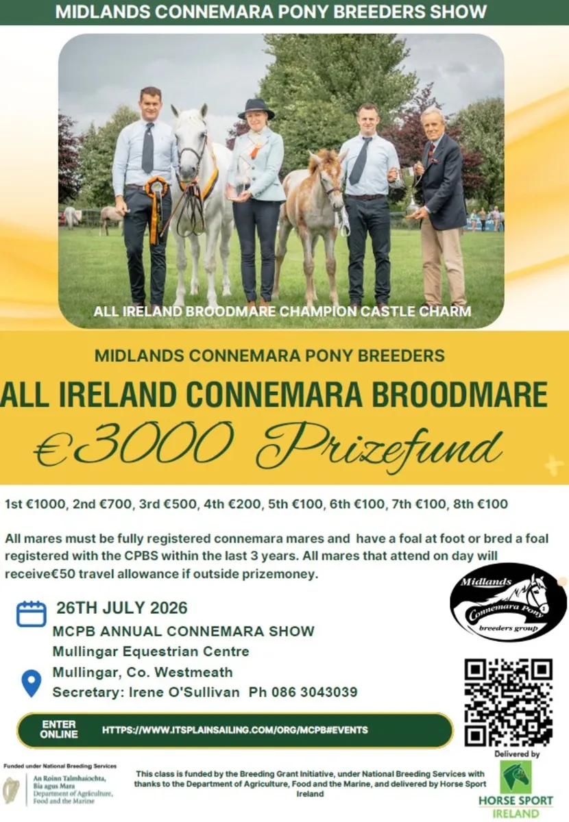 €3,000 All Ireland Connemara Broodmare C'ship - Image 1