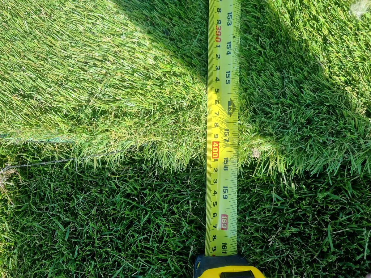 Artifical grass 4m x 6m - Image 2