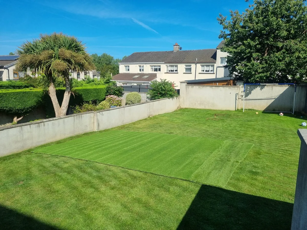 Artifical grass 4m x 6m - Image 3