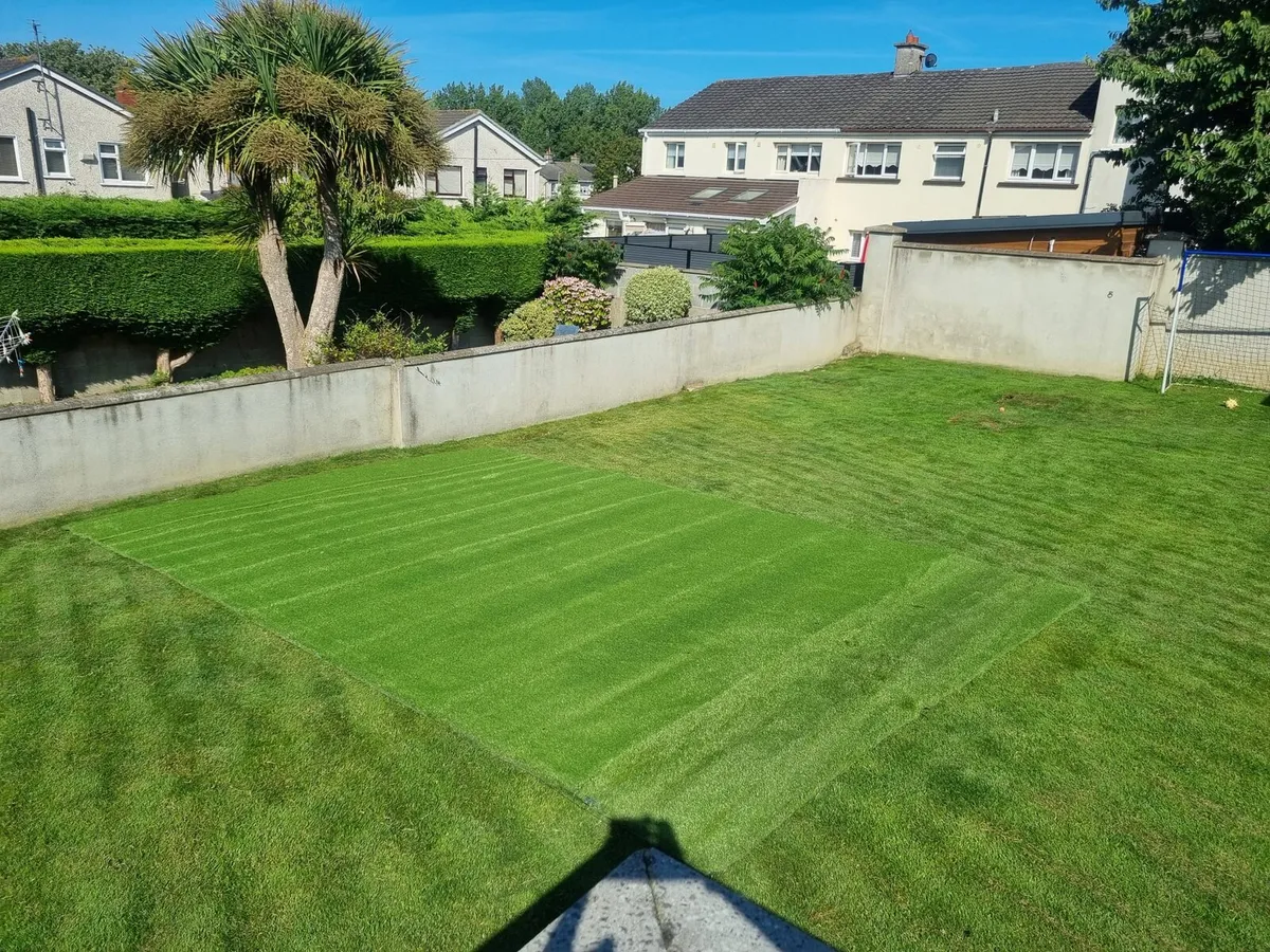 Artifical grass 4m x 6m - Image 4