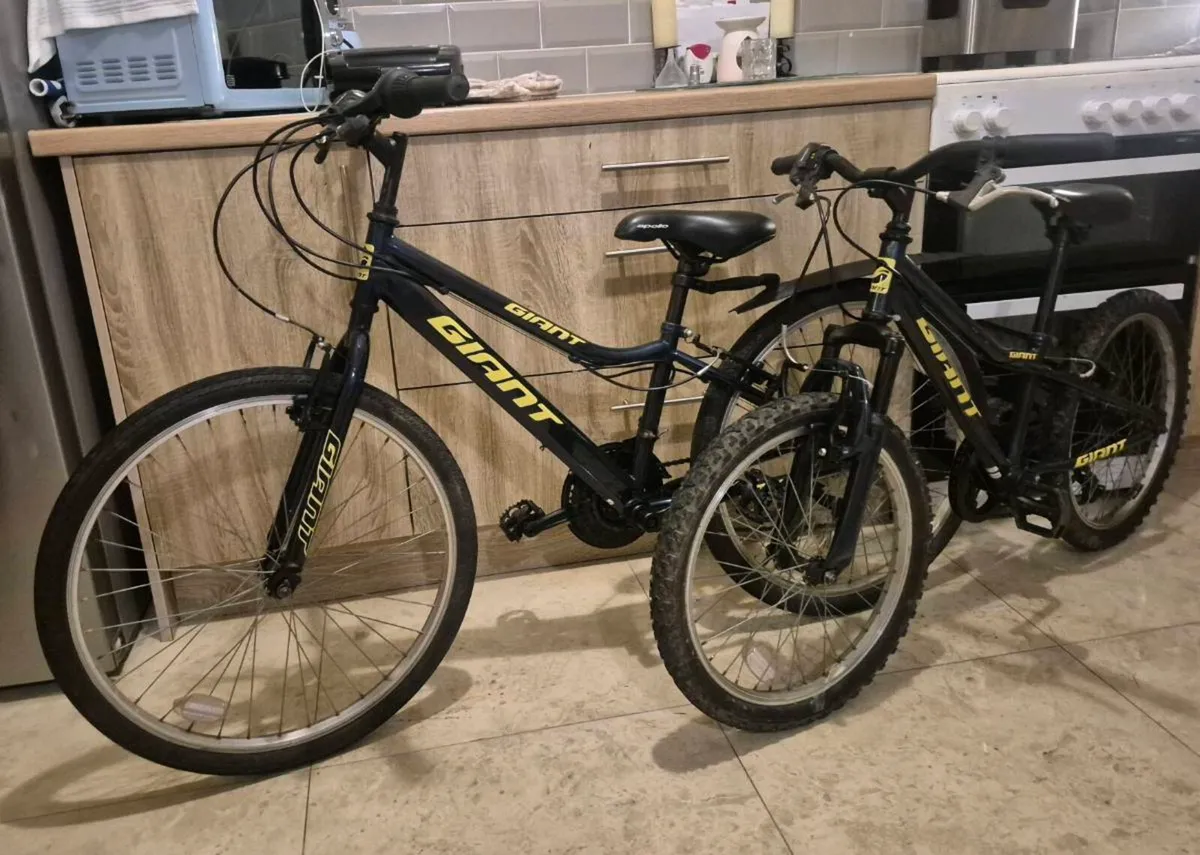TWO WELL-KNOWN GIANT BRAND KIDS MOUNTAIN BIKES WIT - Image 1