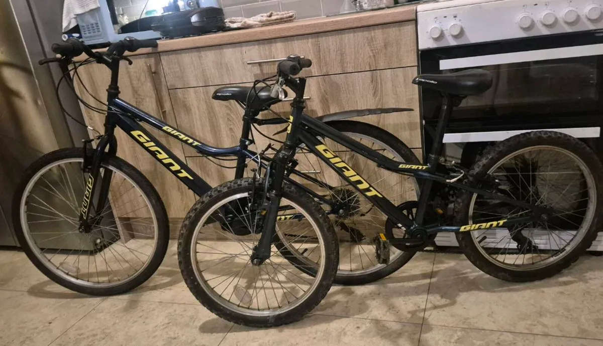 TWO WELL-KNOWN GIANT BRAND KIDS MOUNTAIN BIKES WIT - Image 2