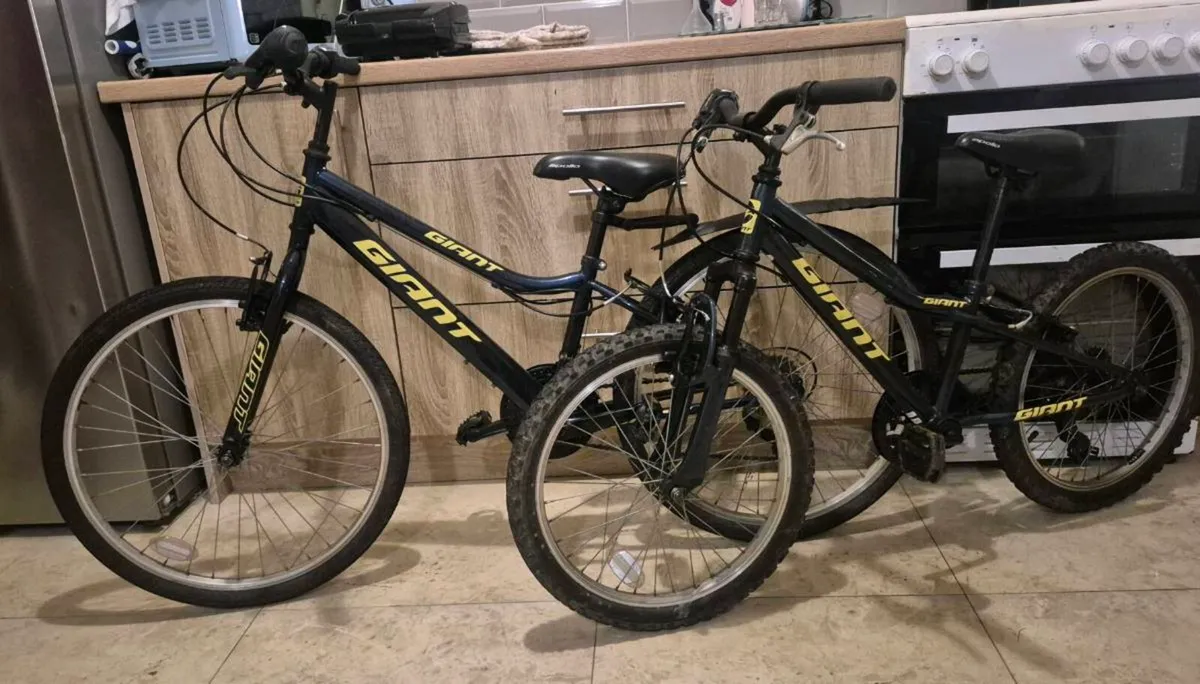 TWO WELL-KNOWN GIANT BRAND KIDS MOUNTAIN BIKES WIT - Image 3
