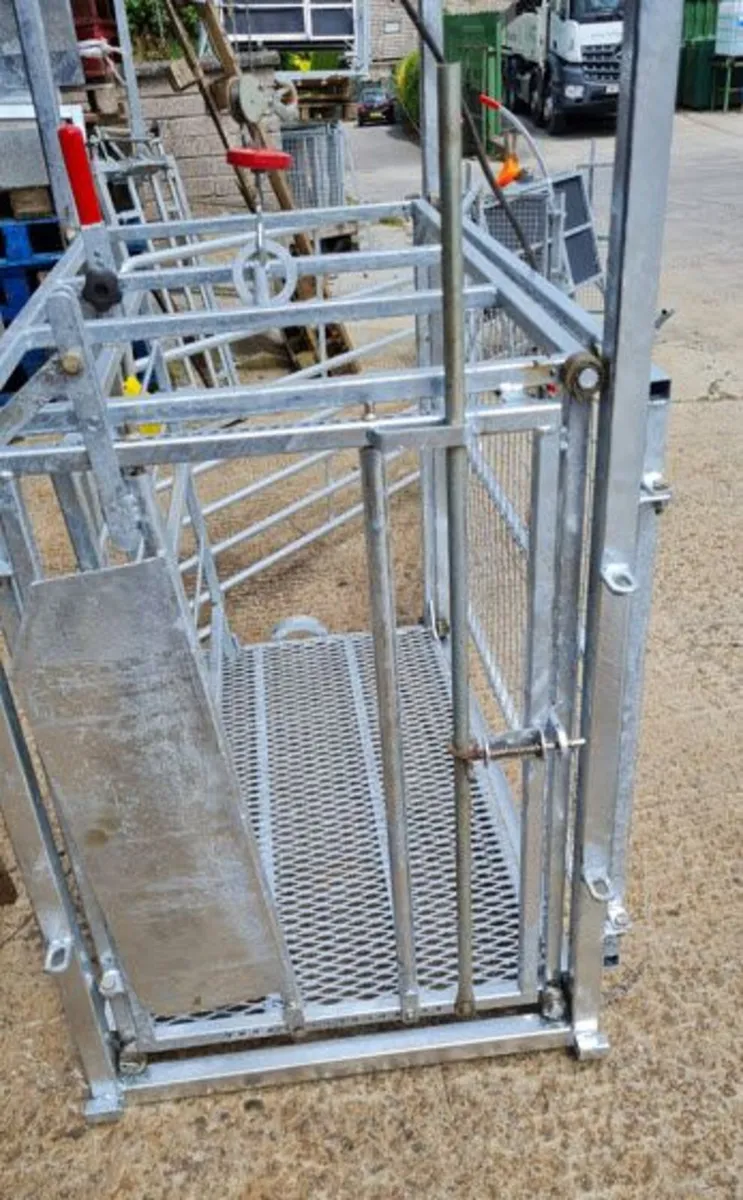 Lifting cage - Image 4
