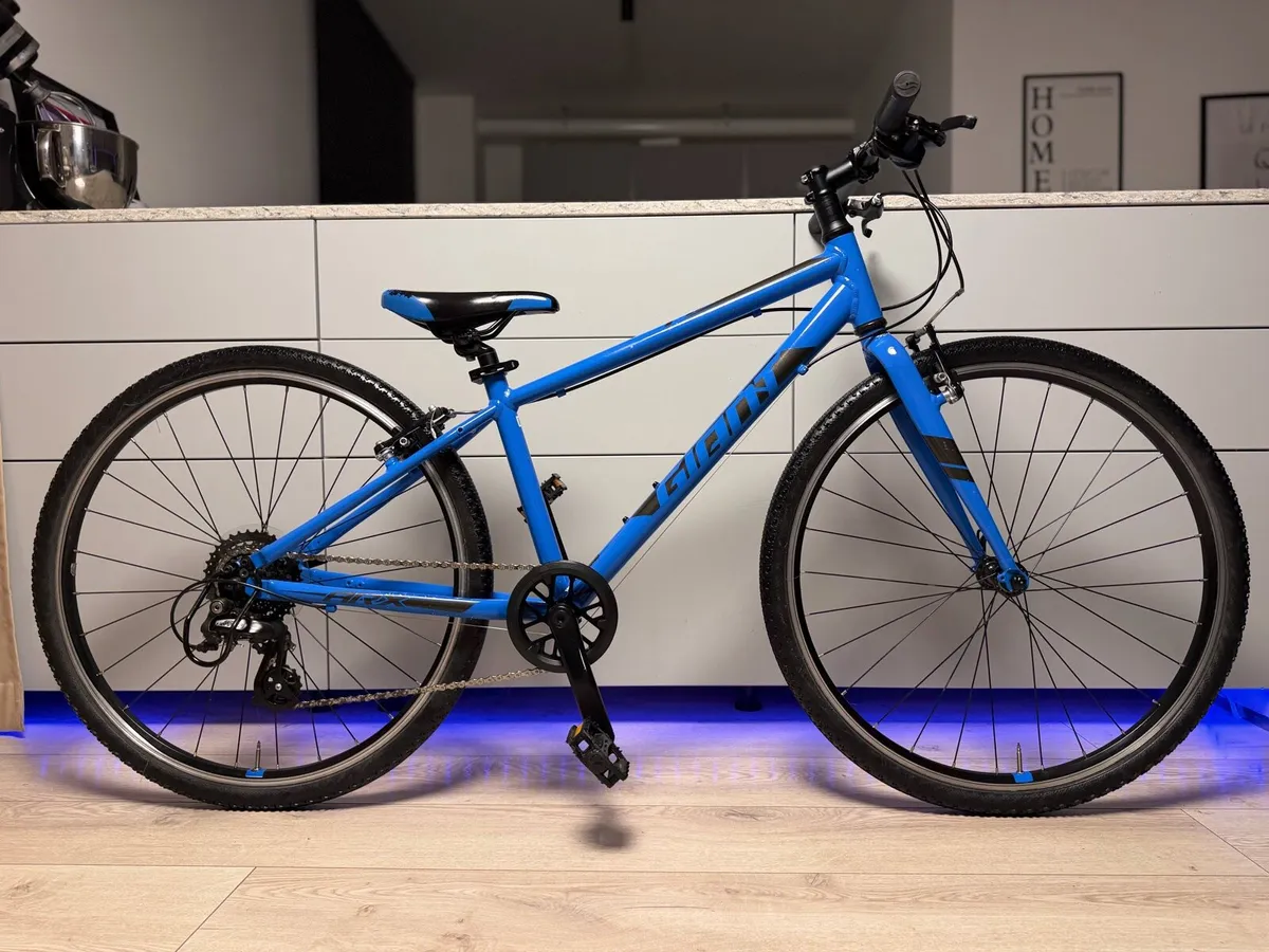 Giant ARX Junior Bike 26 inch - Image 1