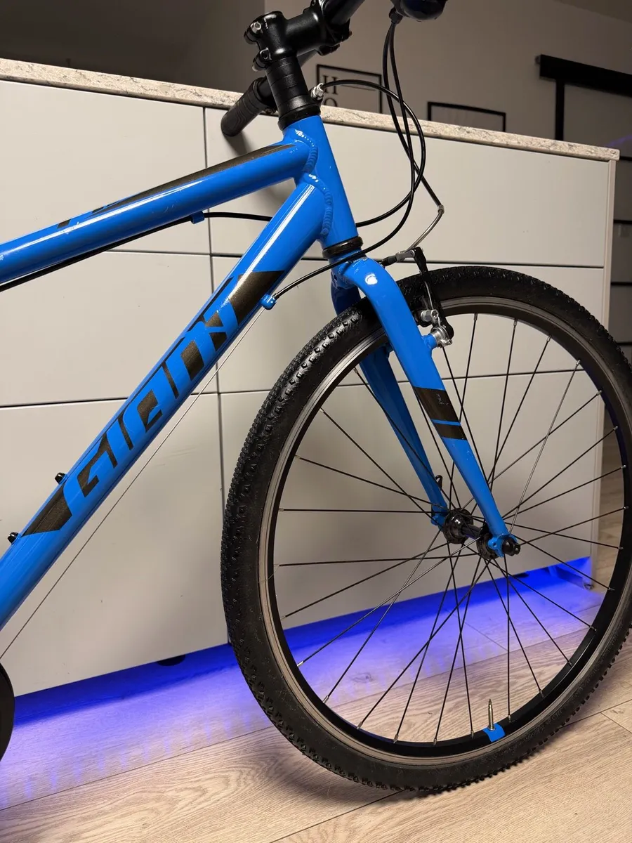 Giant ARX Junior Bike 26 inch - Image 3