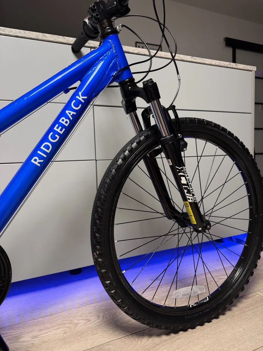 Ridgeback MX24 Junior Bike 24 inch - Image 3