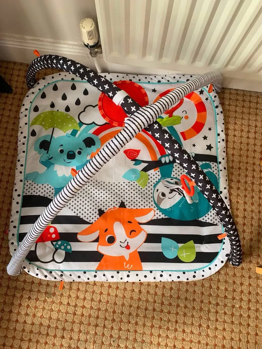 Baby Playmat