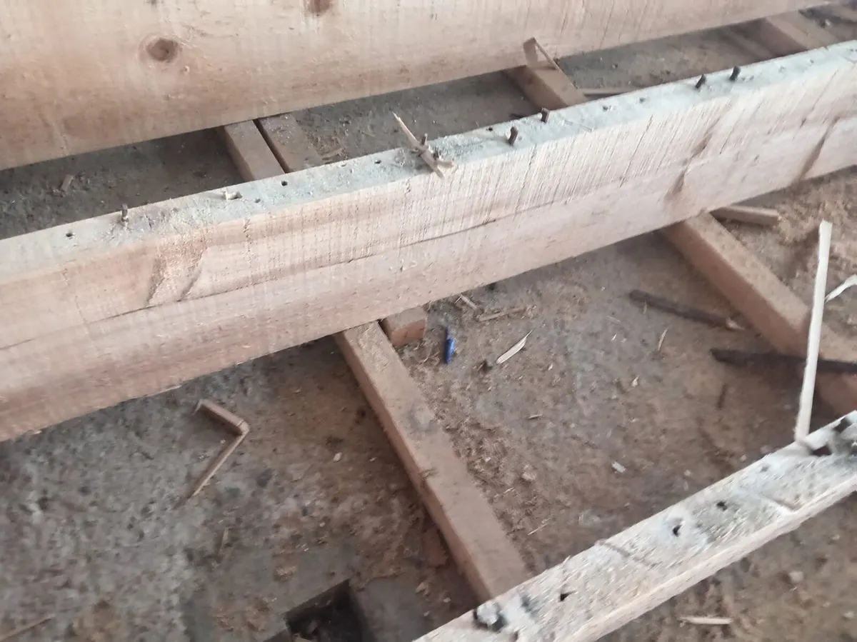 Timber for sale - Image 4