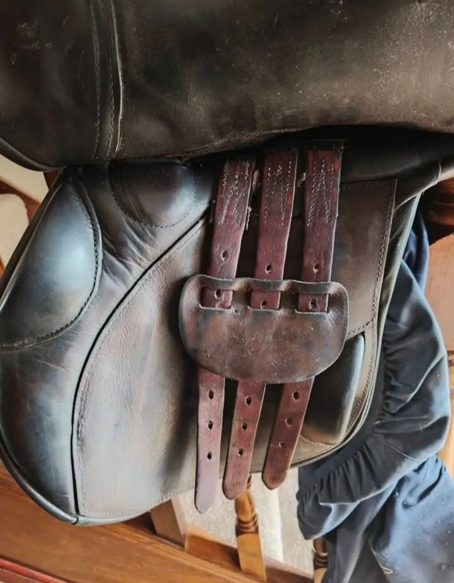 Berney Bros international saddle - Image 3