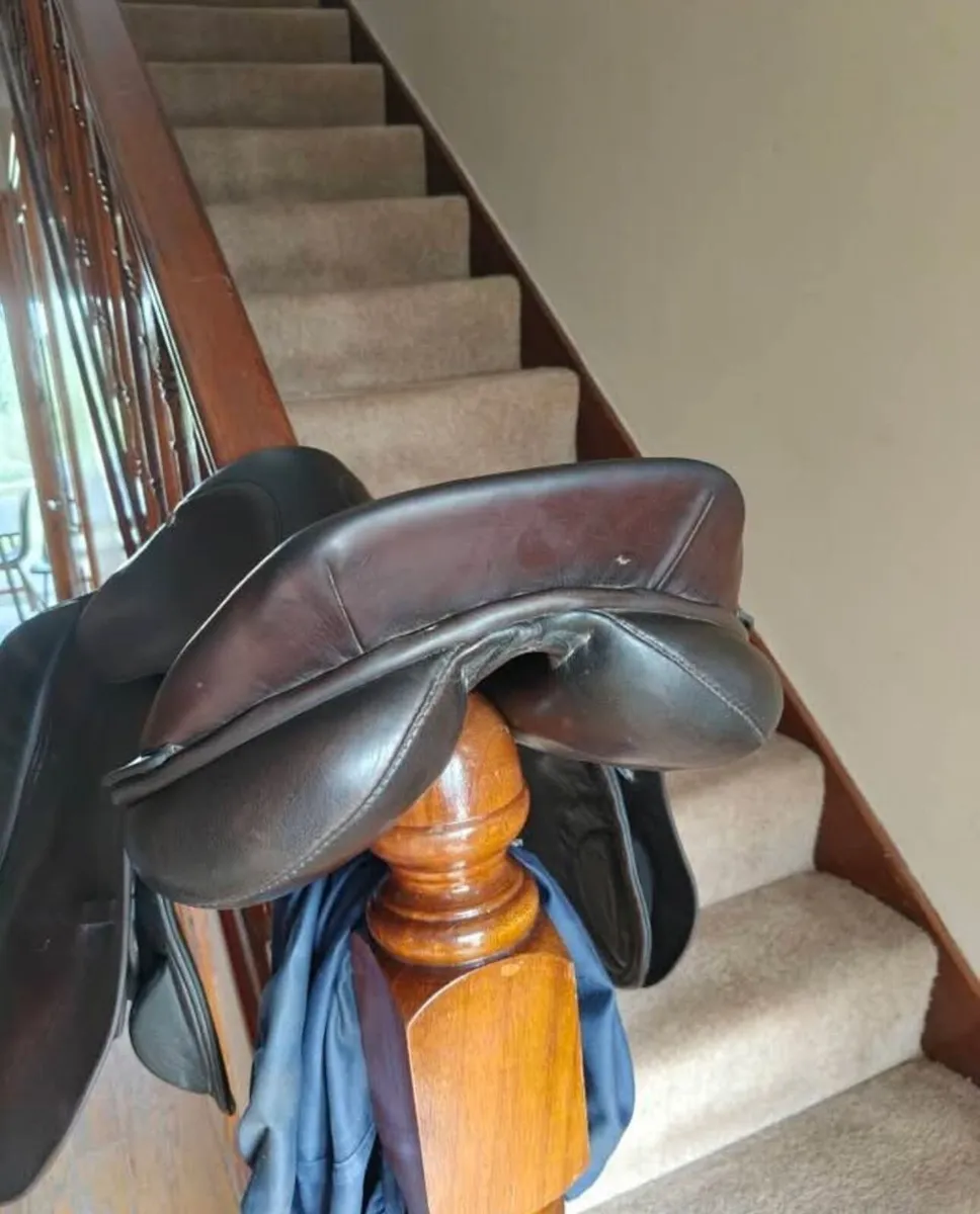 Berney Bros international saddle - Image 2