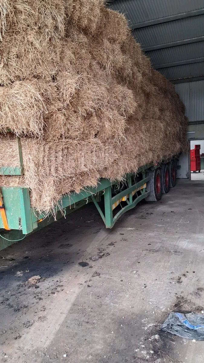 Square Bales - certified Organic - Image 1