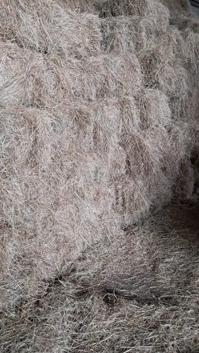 Square Bales - certified Organic - Image 2