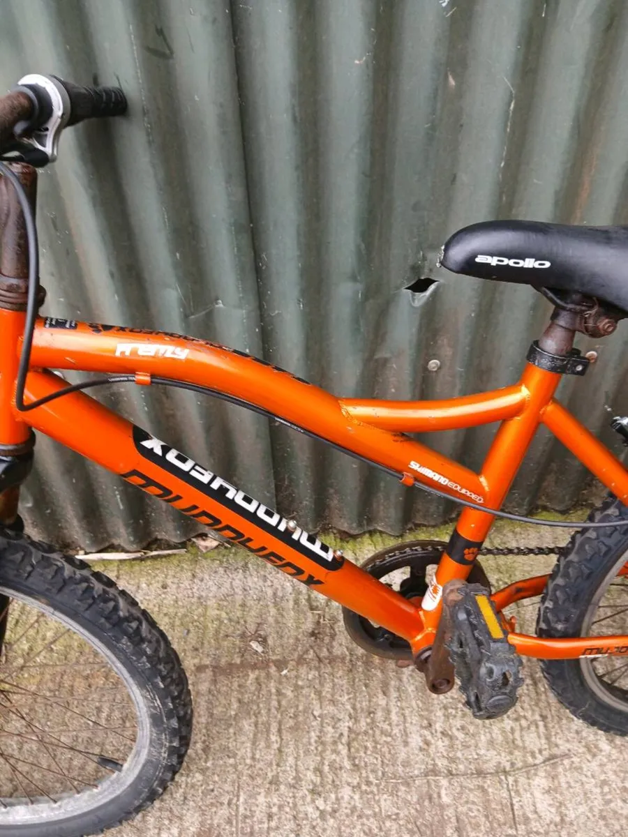Bikes - Image 4